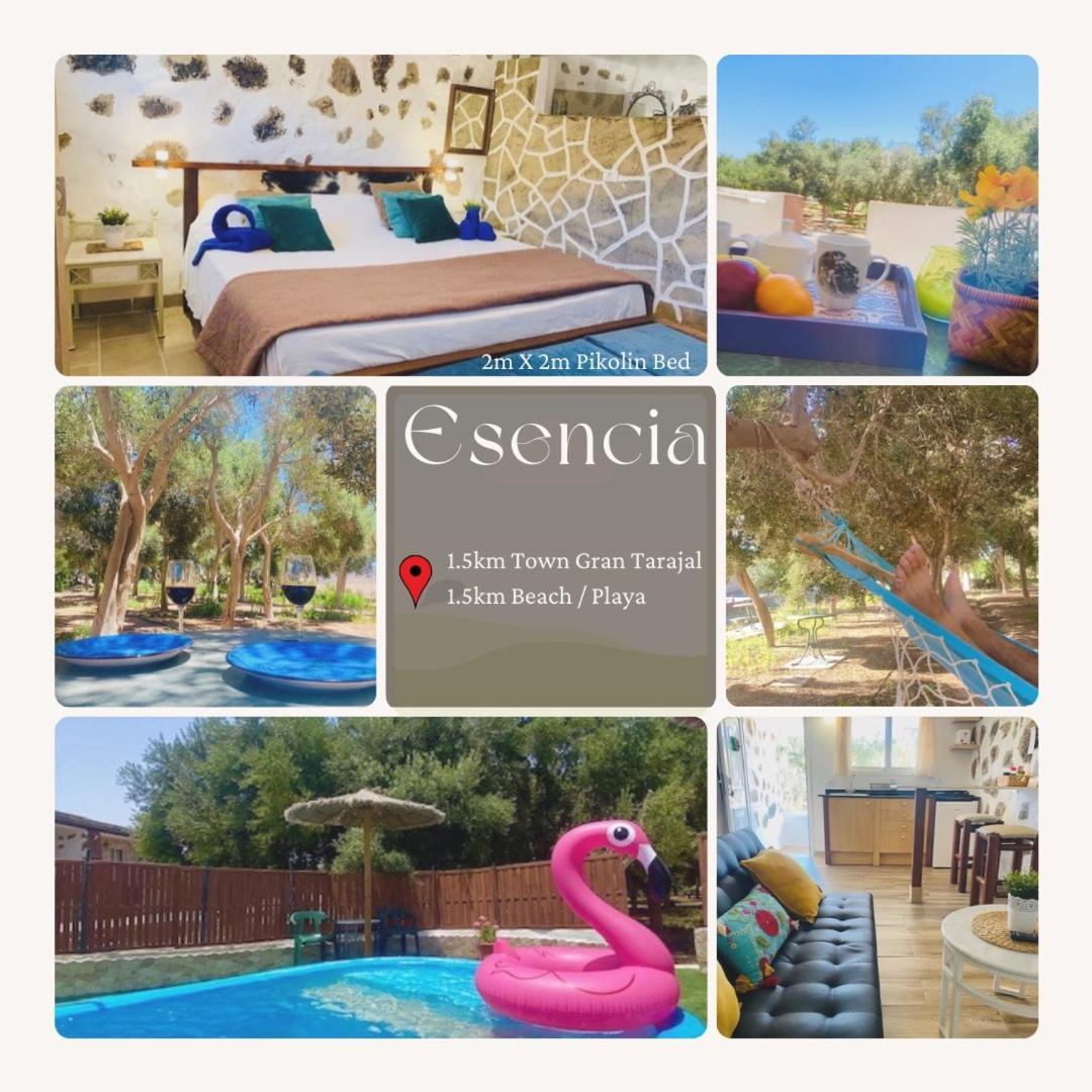 Bungalow Alma #Only Adults El Charco  外观 照片